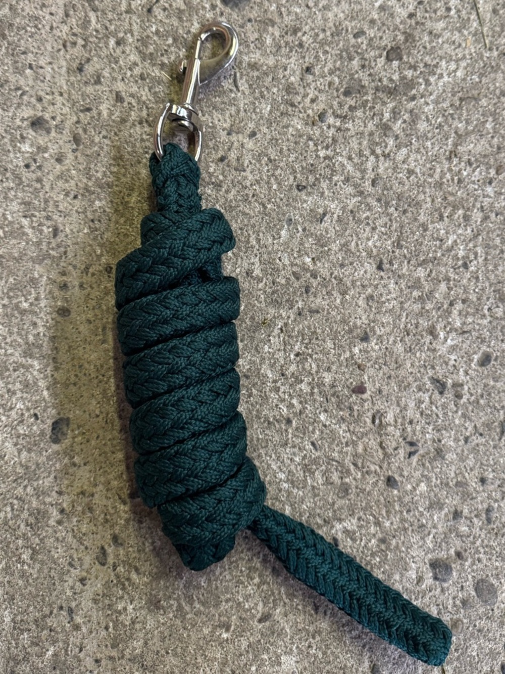 Green lead rope equestrian